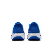 Kentucky Nike Zoom Pegasus 41 Shoes